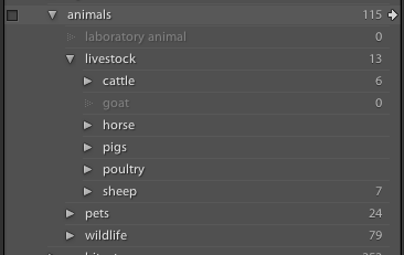 Keyword list panel